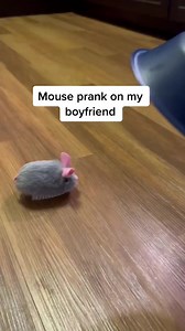 The dramatics😭🤢 #boyfriend #mouse #prank #couple #happy #family #funny #reel #viral #usa #love #reelfb #viralreel | River Franco