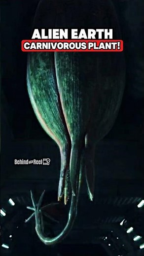 Alien Earth Carnivorous Plant EXPLAINED‼️