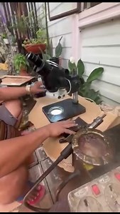 781K views · 3.4K reactions | Gumagawa po kami ng Car ECU(Computer Box) ng mga sasakyan. HYUNDAI ACCENT 2011-2019(Manual-Matic)HYUNDAI i10HYUNDAI EonHYUNDAI ELANTRAKIA SOULKIA PICANTOKIA RIOSuzuki Swiftand Etc..❌️issue: Kaldag sa Reverse ❌️Stuck sa 3rd Gear❌️NO CHECK ENGINE❌️️NO RPM❌️WON'T START❗️Naghohome Service pohttps://www.facebook.com/carcomputerboxrepairlucena/09293647146 | Car Computer Box Repair | Facebook