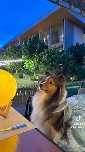 Win Metawin Opas Iamkajorn 💙 | Misshan- stories