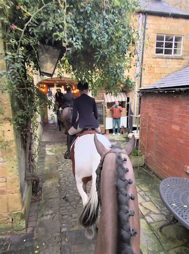 A Brilliant Day Out with Farmers Bloodhounds