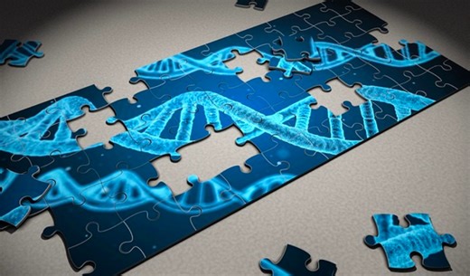 A Recipe for Evolution: Genes Get Repurposed for New Results | Genetics And Genomics