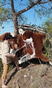 Ancient Methods Still Useful Today | Parentips