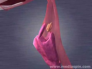 Epiglottis animation