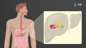 Video: Prodrugs