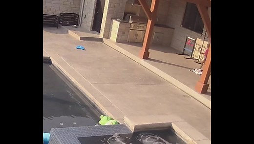 Making Ellie model to practice our photography skills. #goldenretriever #dogsoftiktok #bestfriends #goldenlife #golden #goldenretrieverlife