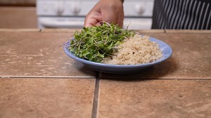 Setting out a plate of quinoa and sprouts to top with a protein item for a healthy meal - side view LAMB PATTY SERIES | Premium Stock Video Footage