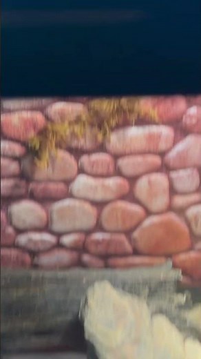 My baby ball python & baby red tail boa enclosures 🐍❤️