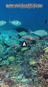 6.2K views · 236 reactions | AlphaMentality on Reels | Facebook