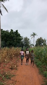 22K views · 765 reactions | Faut jamais chercher femme dans le Mois de Décembre 紐‍♂️ Magic System | Mc verité | Facebook