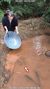 The girl was confident that the fish would not escape #shortvideo #viralvideo