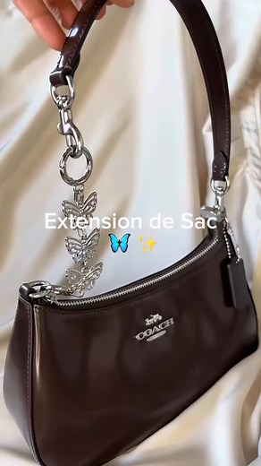 Les papillons, mon coup de coeur 🦋🫶🏻 #shoulderbag #extensions #girls #accessories #coachbag #papillon #capcut | Extension de Sac