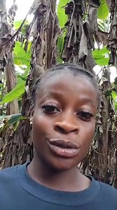 Master Planner MP on Reels | Facebook