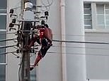 Man climbs electricity pole before being lethally electrocuted