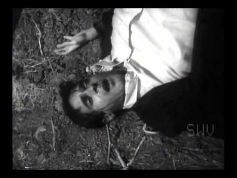 THE ANIMAL (1968, R.L. Frost) opening sequence