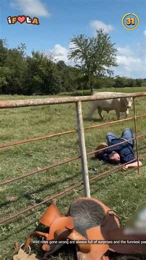 Wild Rides Gone Wrong😜🤣 | I Freaking Love Animals