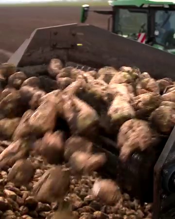 Healthy soil is the foundation of growing any crop. We're celebrating #WorldSoilDay with our soil specialist tractor - the 8RX. 💪 💚 💛 #JohnDeere8RX #8RX | John Deere