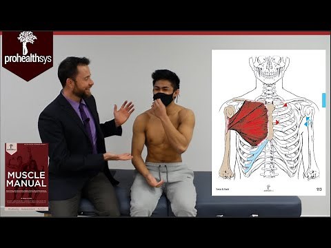 Pec Major Muscle Manual Dr Vizniak