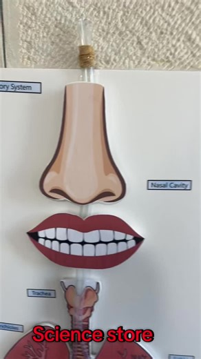 Science Store على TikTok