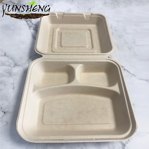 [Hot Item] Disposable Takeout Box to Carry Meals Togo. Great for Restaurant Carryout or Party Take Home Boxes
