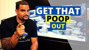 How To Vacuum Aquarium Substrate Like a Pro (Sand and Gravel)