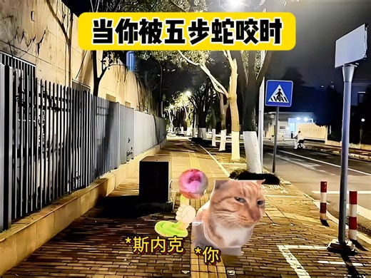 最新视频来袭，快来看看吧！