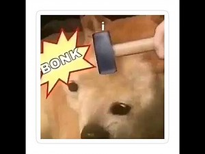 АЙ БЛЯДБ || Over Drive