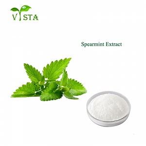 100% Natural Mentha Spicata Powder Spearmint Extract Mint Leaf Extract