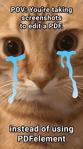 1.6K views | Why suffer when PDFElement exists? Edit, annotate, convert — all without the painful Ctrl+V gymnastics. Upgrade your PDF game. Your fingers (and sanity) will thank you.  #Funnycats #cats #Catmemes #Felinefunny #meme #Funnyvideos | Wondershare PDFelement | Facebook