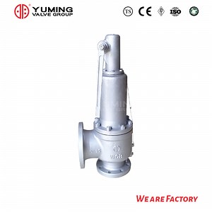 [Hot Item] Pressure Relief Valve Stainless Steel Safety Valve API