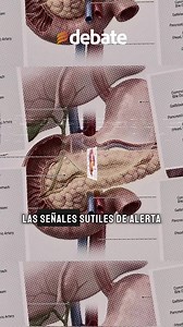 ⚠️ Daño en el páncreas: los primeros síntomas que podrían ser señal de pancreatitis o cáncer. 🧑‍⚕️🔬 Especialistas advierten que reconocer las señales iniciales es clave para recibir atención médica oportuna y evitar complicaciones graves. 🚨🏥