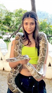 11K views · 216 reactions | Python බාබා 殺 #PoojaVindy #poojavindyfan #dailymemes #SriLanka #girlboss #kandysrilanka #freedom #python #pythontutorial #pythonprogramming | Poojavindy | Facebook