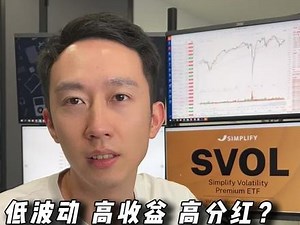大师兄复盘 美股SVOL究竟是什么