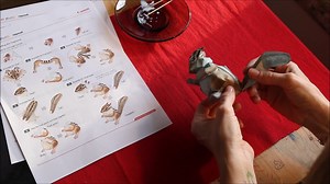 11K views · 92 reactions | Pe scurt, vestea e asta: dacă faci cu...