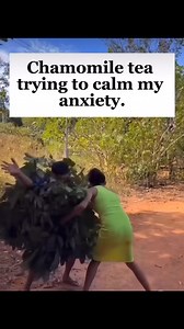 🤌🌚😂 | Spoken Word Artist ALieN