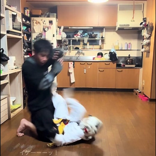 打たれる前に踏み出して打ち抜け - CONASUKEを使っているemi_rui (@emi_rui0)の動画