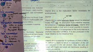 9K views · 292 reactions | #intrinsic_factor #Vitamin_B12 #Pernicious_Anemia For All lectures Contact us at 0333 9316906 | Up Teaching Academy | Facebook