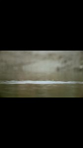 Silahkan buat referensi perfileman phonescoping teman teman disini P40pro eyepiece rakitan dewe ngawurr lensa nikon 300mm | Agus Syaputra