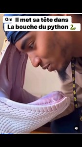 190 reactions | Il met sa tête dans La bouche du python  #reelsvideoシ #reelsviralシ #reelsviralシfb #naturelovers #fly #animals #fblifestylea | Akymstyle Yebga | Facebook