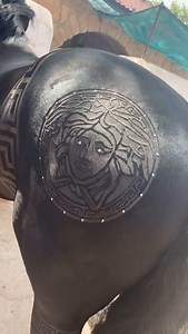 2.2K views · 14K reactions | El primer caballo que diseñé para @angela_aguilar_ y @pepeaguilar_oficial | Rob The Original | Facebook