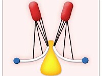 Mechanizm niedomykalności mitralnej - skala Carpentiera