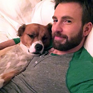 Chris Evans Reflects on Moment He Met "Best Friend" Dodger in Message on National Rescue Dog Day