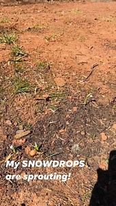 2K views · 36 reactions | First FLOWER garden! | Home Of My Making | Facebook