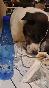 Random video with deltarune sfx