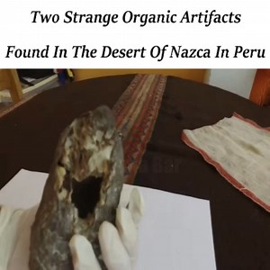 Two Strange Organic Artifacts Found In The Desert Of Nazca In Peru | Gulana Bar