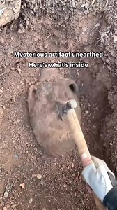 Smile Always and Happy Sunday everyone 😇 | RABBIT.MAC