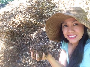 How to use FREE Wood Chips In Your Garden! You can get free wood chips from your local arborist! Just contact them or search "free wood chips" in your area. Hope you enjoy and please “Like and share”. Thank you! Misilla #gardening #sustainability #organicgardening #garden #pnw #urbangarden #woodchips #reuse #sustainable #selfsufficient #recycle #urbangarden #urbanfarm | Learn To Grow | Facebook
