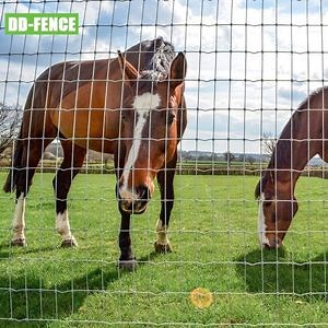 [Hot Item] Chicken Fence Wire Mesh Netting Price