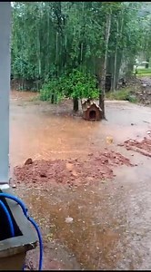 Máxima FM 107.5 on Reels