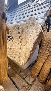 Setting up the gabel part 2 👌🏼 #thethatchingguy #alright #gabel #reed #fyp #foryou #rooftop #roof #roofing #rooftops #rooftopbar #roofs #roofer #rooftopping #roofculture #rooftopview #rooftoppool #rooftoptent #RoofRack #rooftopparty #rooftopgarden #roofgarden #roofers #roofingcontractor #roofterrace #roofinglife #rooftopbars #rooftoping #rooftopviews #rooftent #roofersofinstagram #rooflife #roofrepair #roofingworld #roofershelper #roofcleaning #construction #constructionlife #constructionsite 